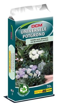 Aanplantgrond